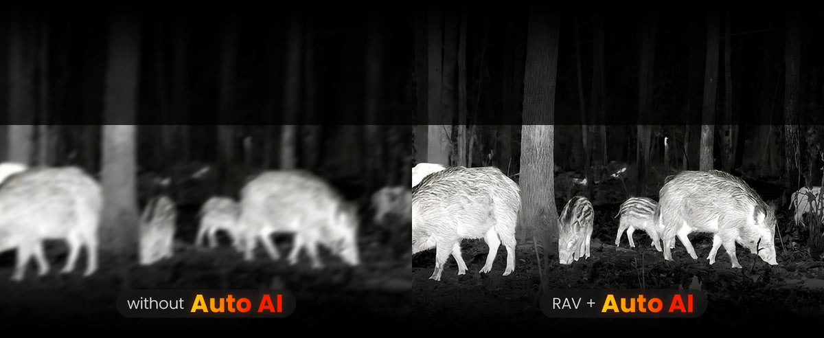 AI-Driven Imaging-Optimized at 50Hz