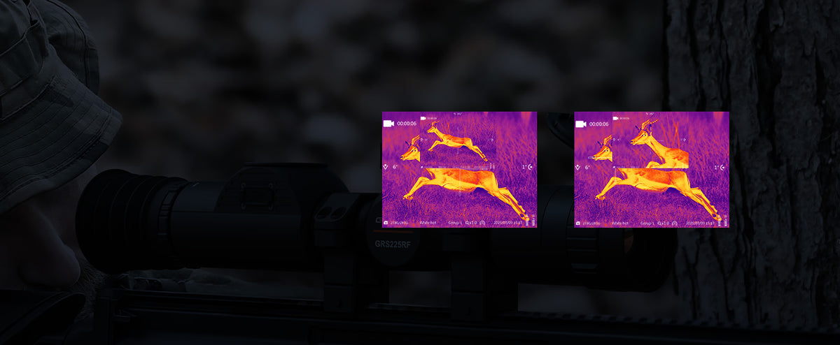 Picture-in-Picture (PlP)